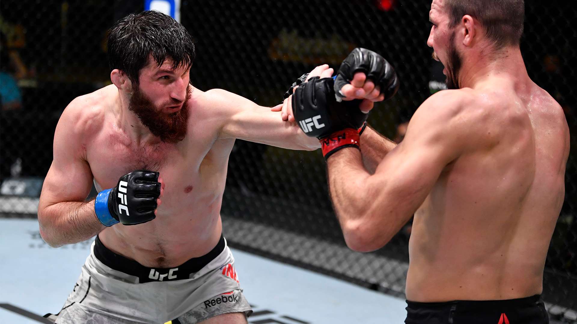 术与意志的 术与意志的