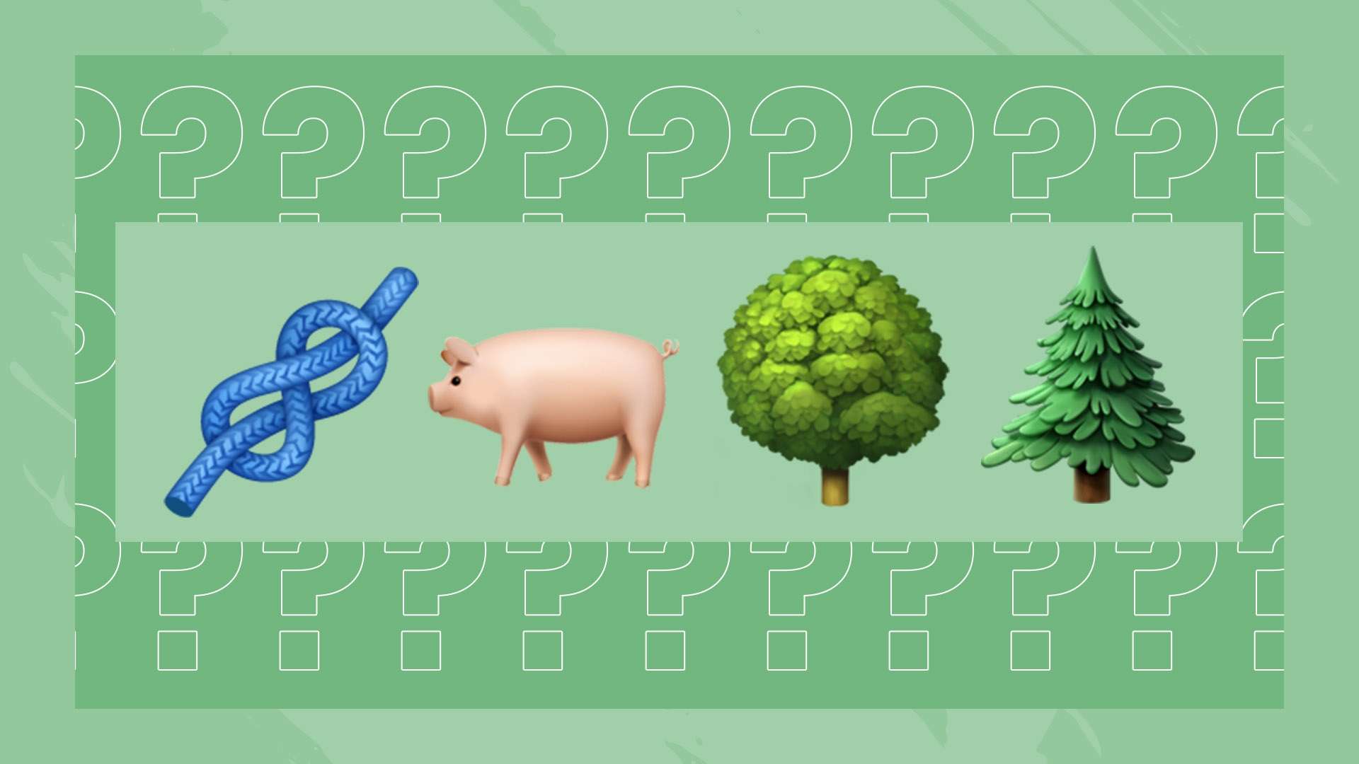 “决胜巴黎·绽放奥运——奥运冠军面对面”巡回宣讲（山东站）圆满落幕.